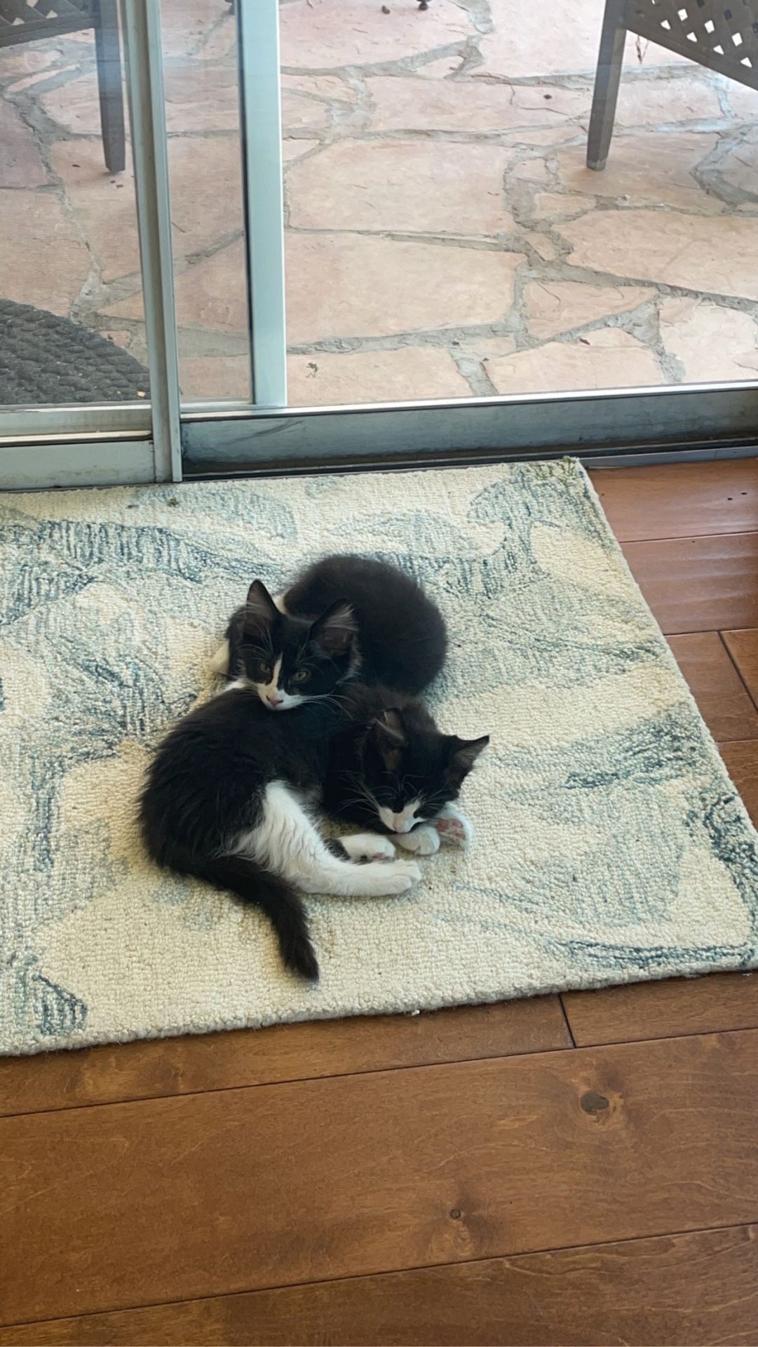 Beziehungslektionen für jeden Monat