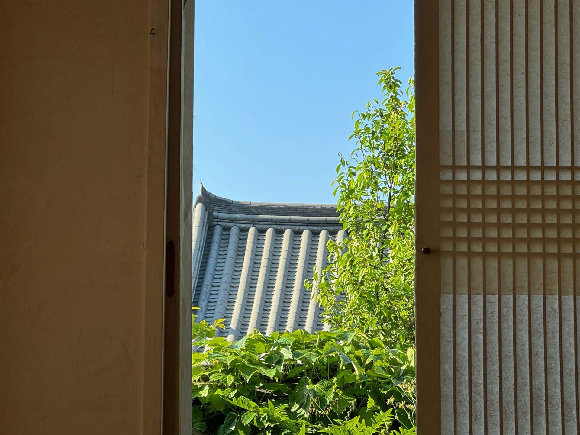 Proč je sex pro manželství